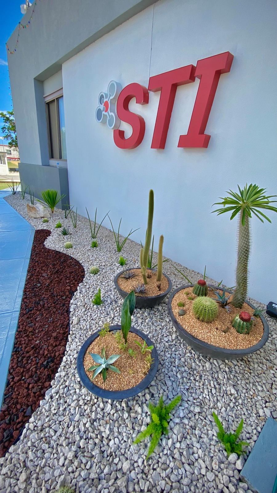 Instalación comercial con jardín de cactus