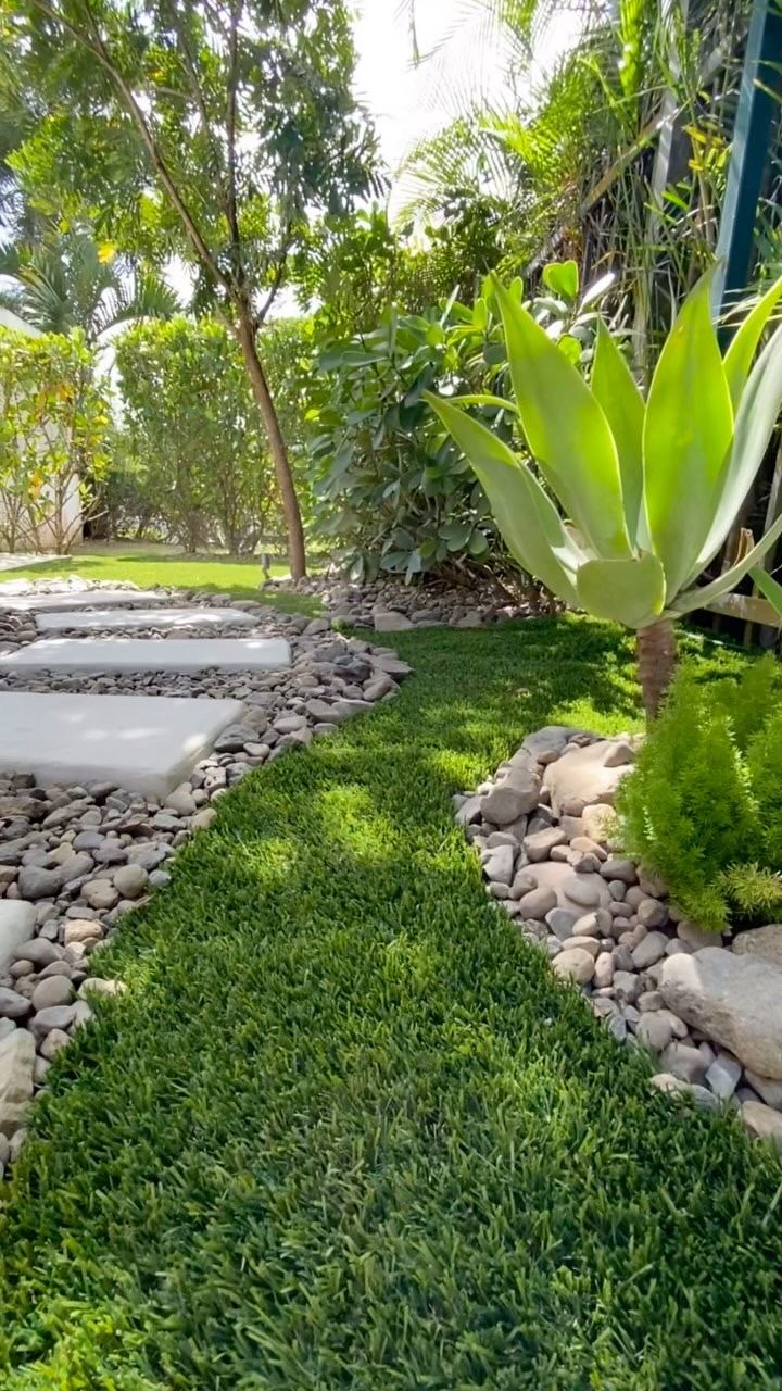 Camino tropical entre helechos, agave y piedra de río