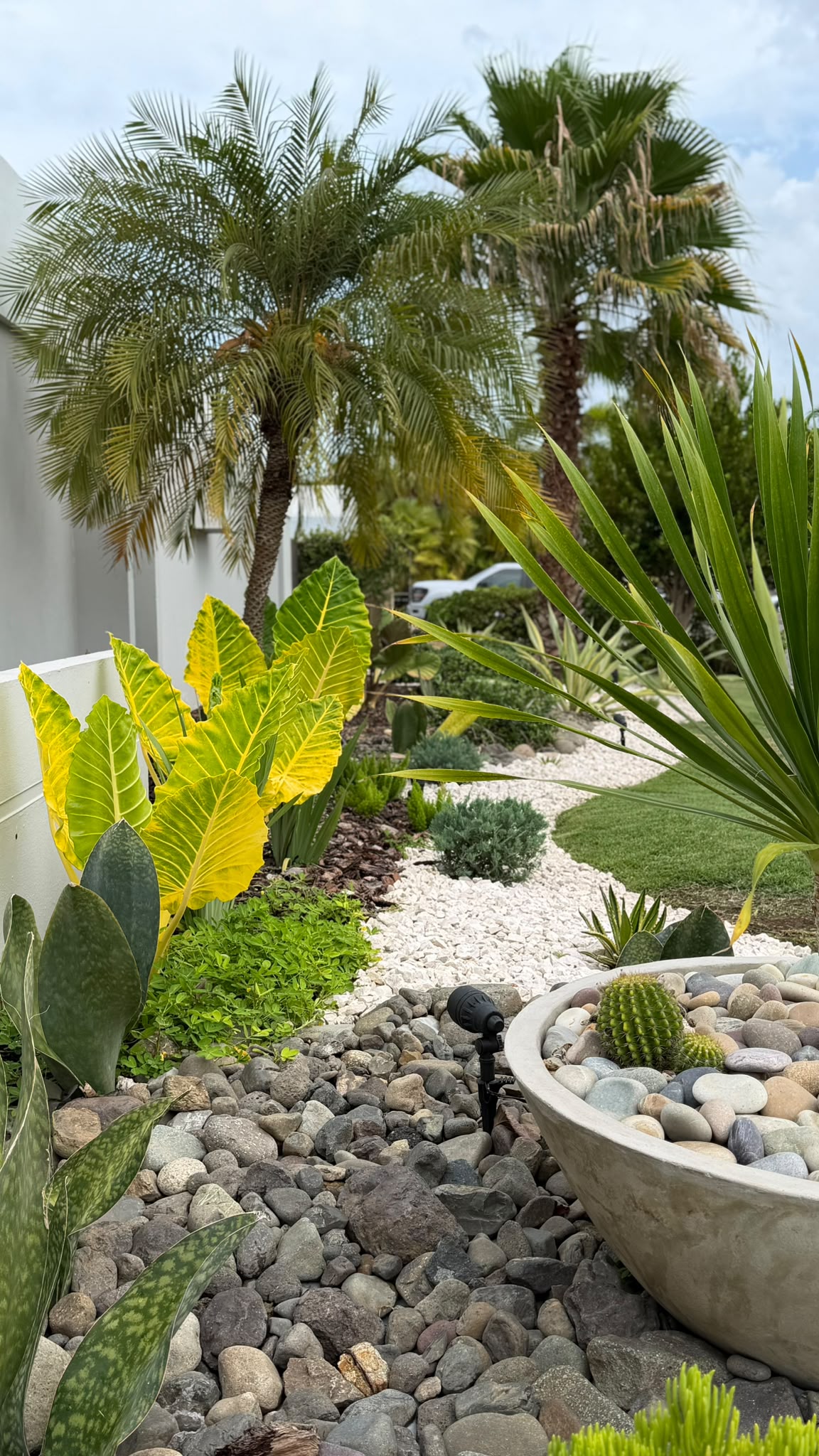 Jardín tropical con palmas, oreja de elefante amarilla y piedra de río