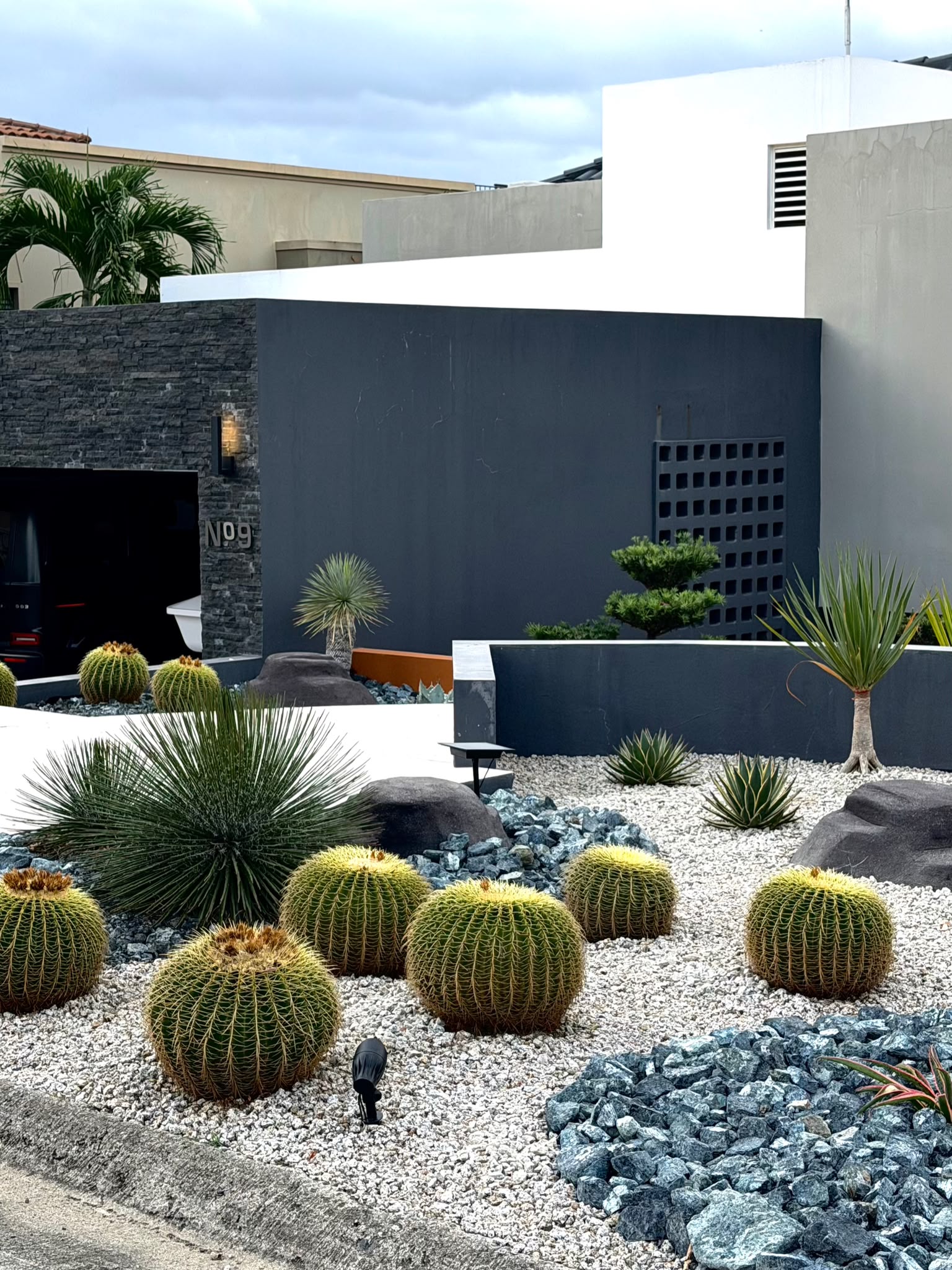 Xerojardín moderno de día, con cactus barril dorado y roca volcánica